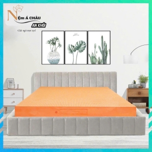 Nệm Á Châu Thiên Nhiên Latex 1M X 2M X 10CM
